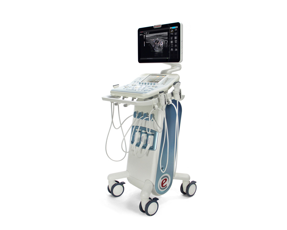 ultrasound machine for cats and dogs mylab 6